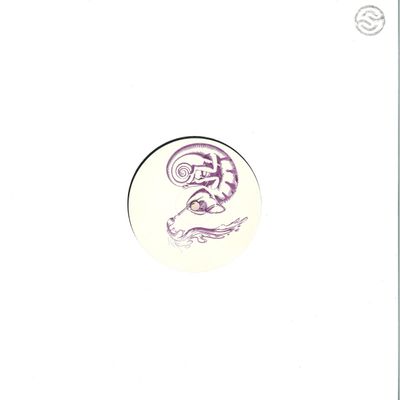 Unknown Artist — Sun After Rain vinyl cover