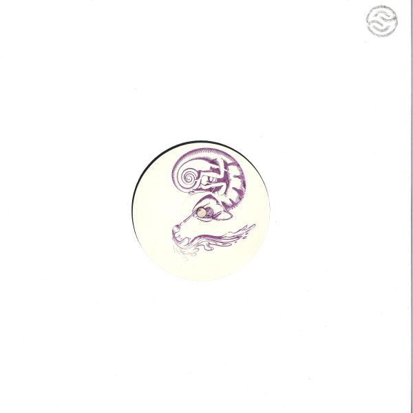 Unknown Artist — Sun After Rain vinyl cover
