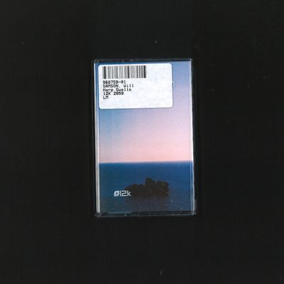 Will Samson — Harp Swells (TAPE) vinyl cover