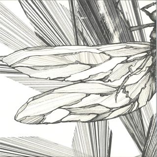 Faster — Transparency EP 2x12″ vinyl cover