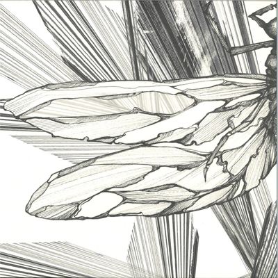 Faster — Transparency EP 2x12″ vinyl cover
