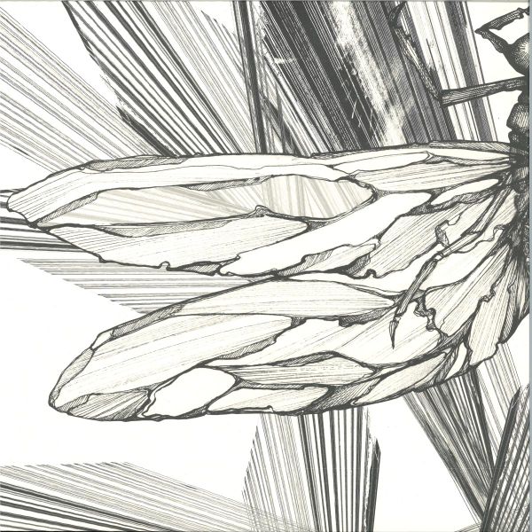 Faster — Transparency EP 2x12″ vinyl cover