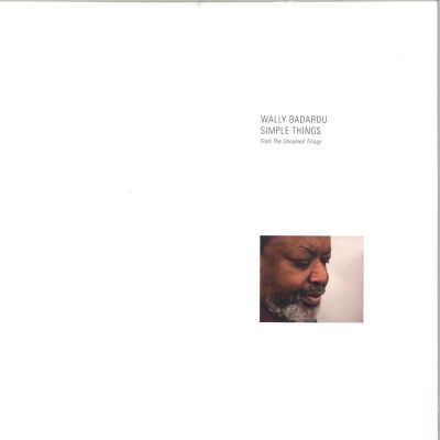 Wally Badarou — Simple Things (LP) vinyl cover