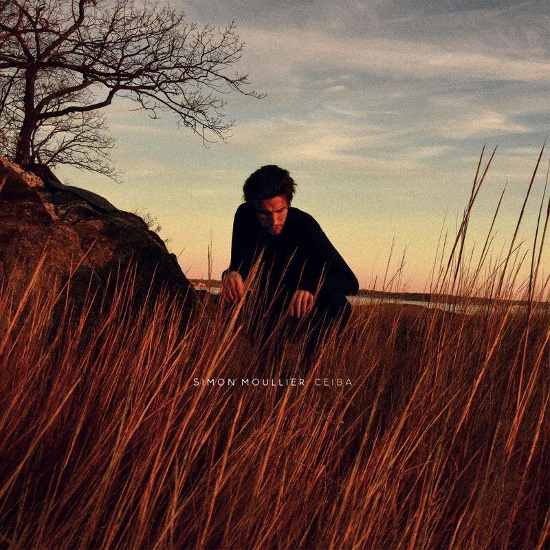 Simon Moullier — Ceiba vinyl cover