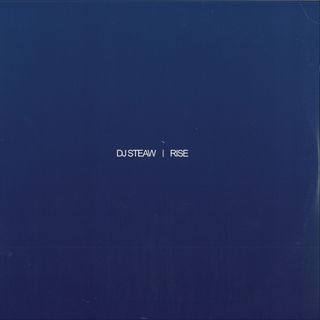 Dj Steaw — Rise LP 2x12" vinyl cover