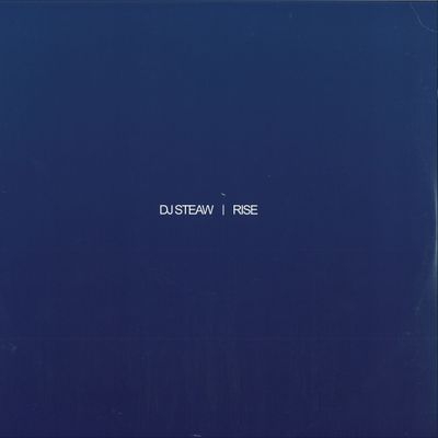 Dj Steaw — Rise LP 2x12" vinyl cover