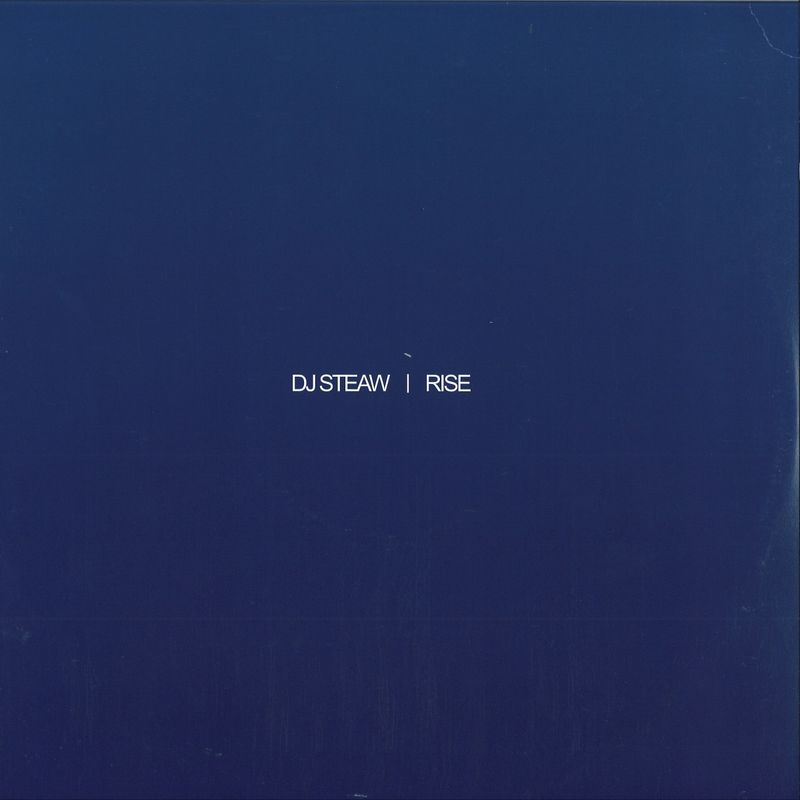 Dj Steaw — Rise LP 2x12" vinyl cover