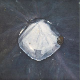 Konduku — Sarmal vinyl cover