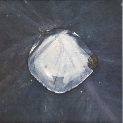 Konduku — Sarmal vinyl cover