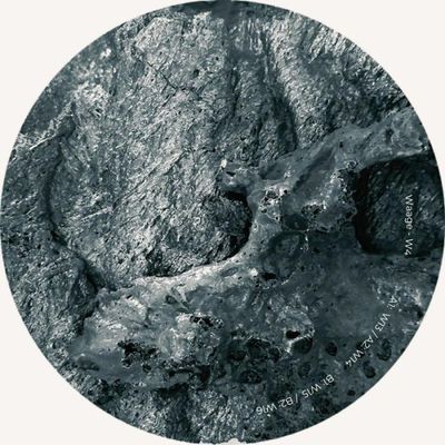 Waage, Quantal — W4 vinyl cover