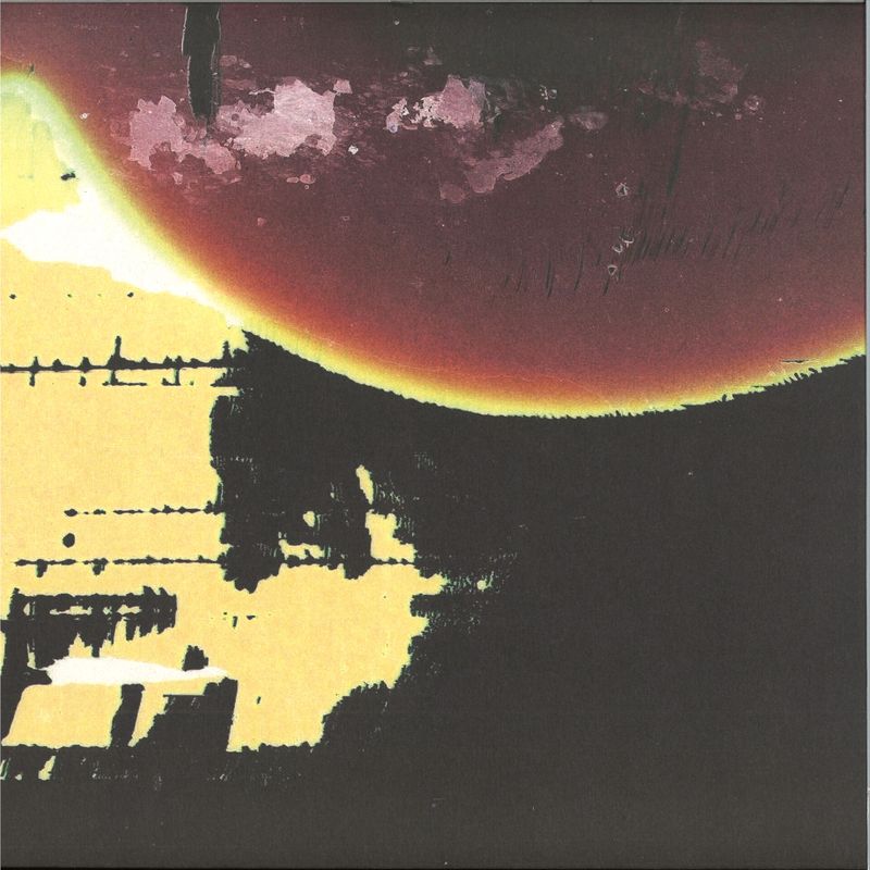 Shackleton, Waclaw Zimpel — IN THE CELL OF DREAMS vinyl cover