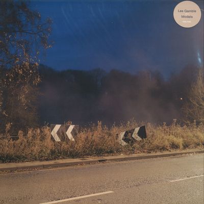 Lee Gamble — Models LP vinyl cover