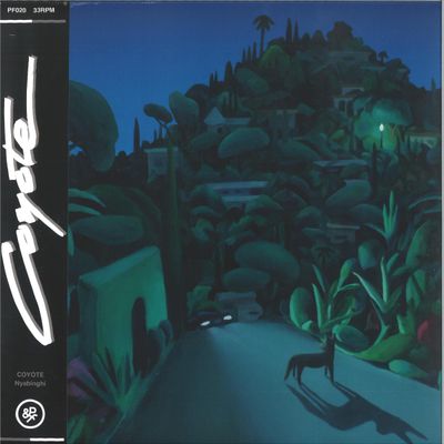 Coyote — Nyabinghi LP vinyl cover