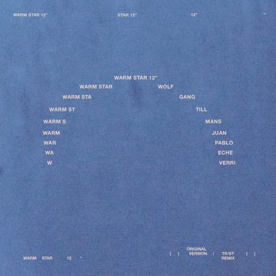 Wolfgang Tillmans, Juan Pablo Echeverri — Warm Star vinyl cover