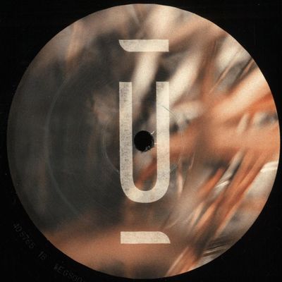 Sedvs — Teorema vinyl cover