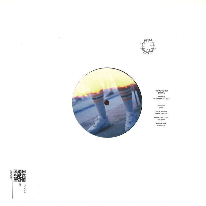 Various — Celebrate The Days vinyl cover