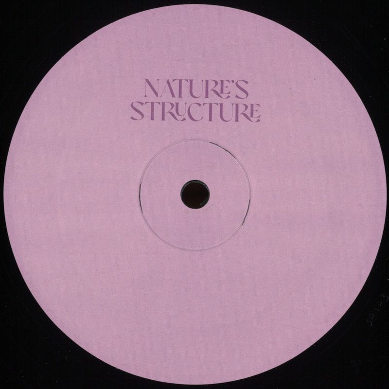 Various — Nature's Structure 2x12" vinyl cover