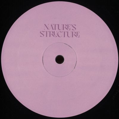 Various — Nature's Structure 2x12" vinyl cover