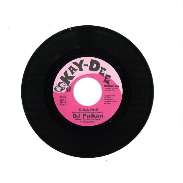 Dj Paikan — E.V.A. vinyl cover