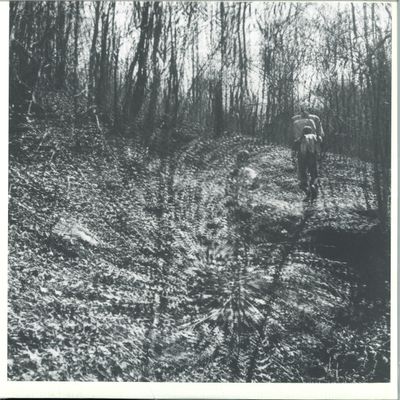 Topographies — Interior Spring LP vinyl cover