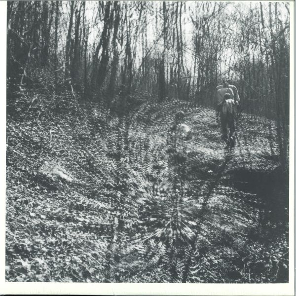 Topographies — Interior Spring LP vinyl cover