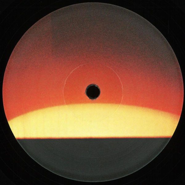 Vladw — Ikigai vinyl cover
