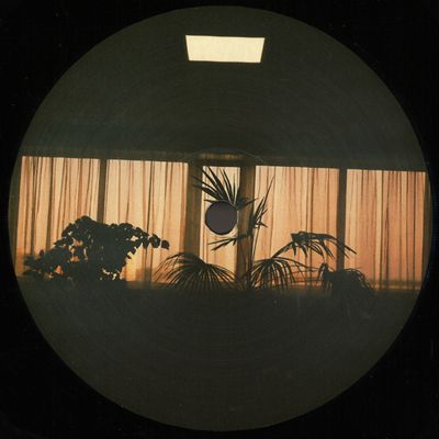 Various — Fix The Pitches On Your Old Turntables To Improve Quality Of Life vinyl cover
