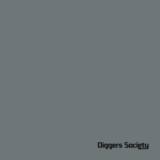 The Analogue Cops — CH In A Gipsy World vinyl cover