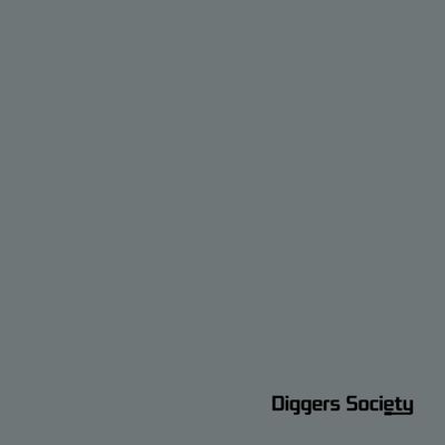 The Analogue Cops — CH In A Gipsy World vinyl cover