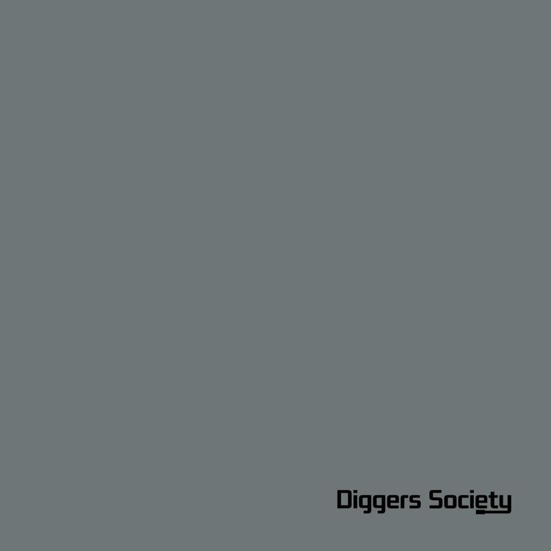 The Analogue Cops — CH In A Gipsy World vinyl cover
