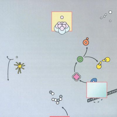Oca — Aging vinyl cover
