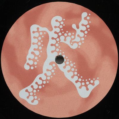 Liquid Earth — Adventures Of Handy Boy vinyl cover