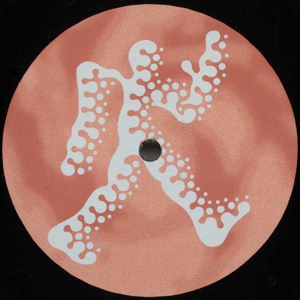 Liquid Earth — Adventures Of Handy Boy vinyl cover