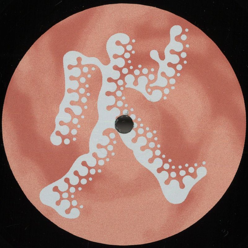 Liquid Earth — Adventures Of Handy Boy vinyl cover