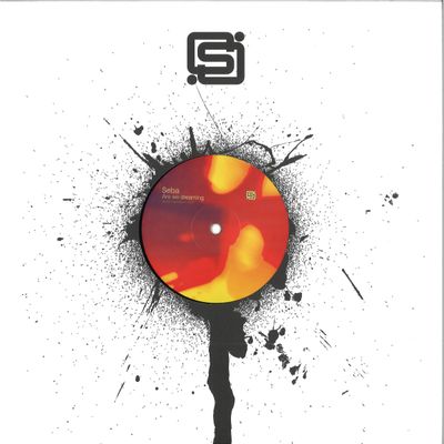 Seba — Are we dreaming? vinyl cover