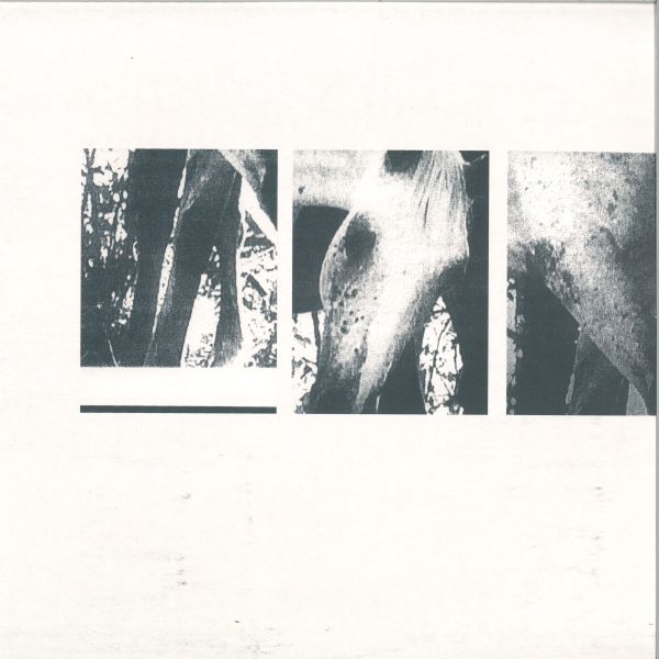 JK Flesh — Veneer of Tolerance Remixes 2x12" vinyl cover