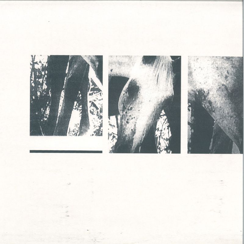 JK Flesh — Veneer of Tolerance Remixes 2x12" vinyl cover
