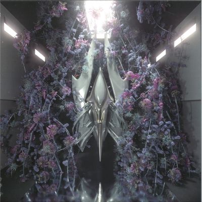 Sideral — I Give You vinyl cover