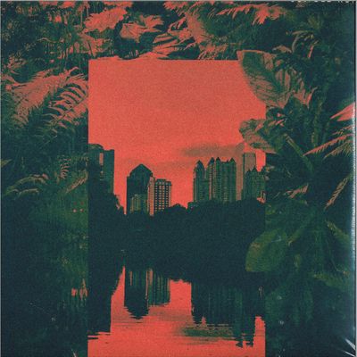 Nubiyan Twist — Jungle Run vinyl cover