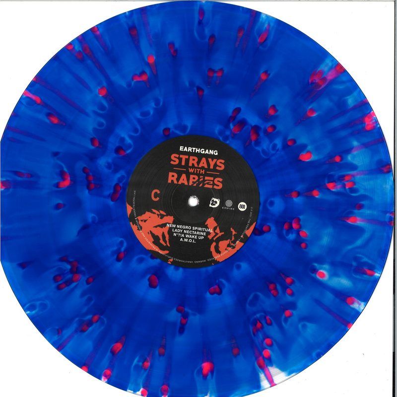 Earthgang — STRAYS WITH RABIES LP 2x12" vinyl cover