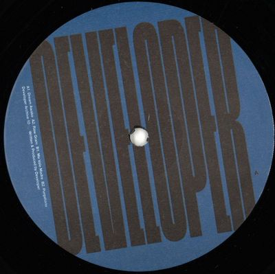 Developer — Archive 010 vinyl cover