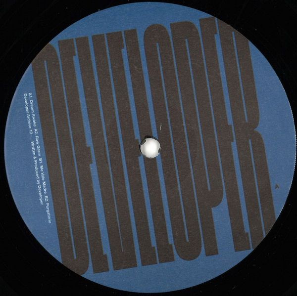 Developer — Archive 010 vinyl cover