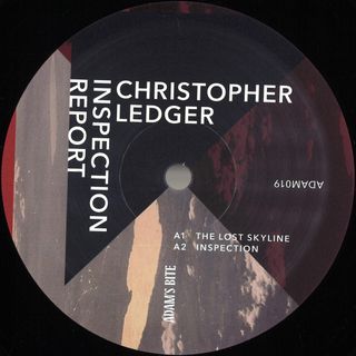 Christopher Ledger — Inspection Report vinyl cover