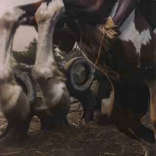 Zulu