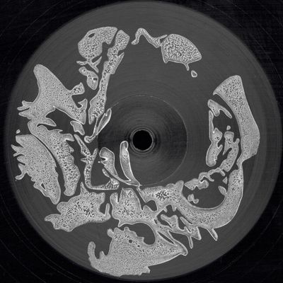 Rupert Marnie — Evocative Rhythm Experience 001 vinyl cover
