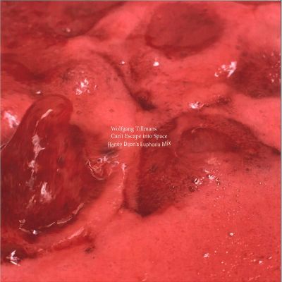 Wolfgang Tillmans — Can't Escape into Space vinyl cover