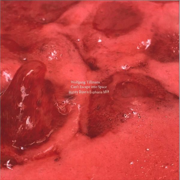 Wolfgang Tillmans — Can't Escape into Space vinyl cover