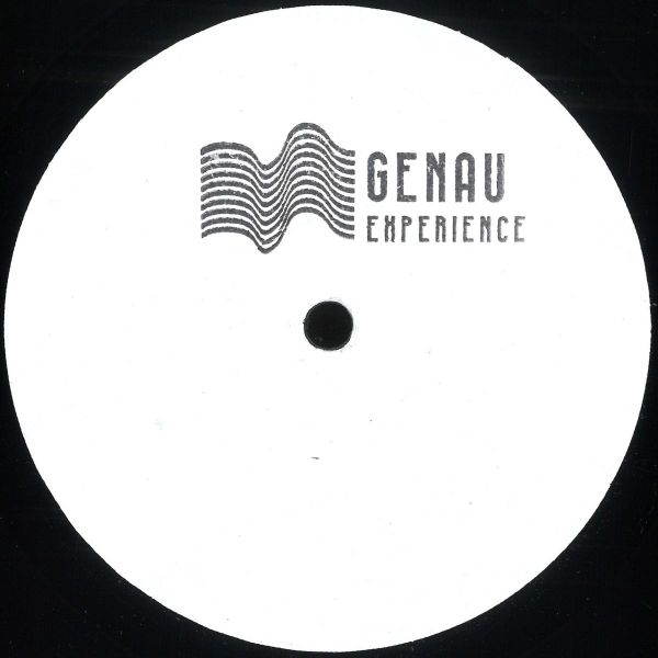 Stefano Conte — The Landing EP (w/ Shkedul Remix) vinyl cover