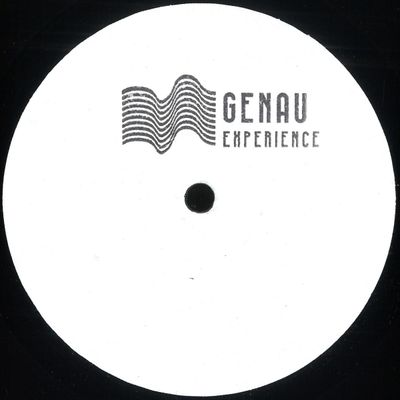 Stefano Conte — The Landing EP (w/ Shkedul Remix) vinyl cover