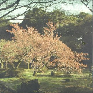 Felipe Gordon — Tezeta LP 2x12" vinyl cover